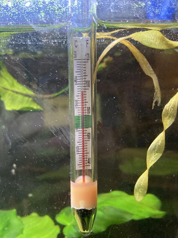 Pet supplies plus aquarium heater sale