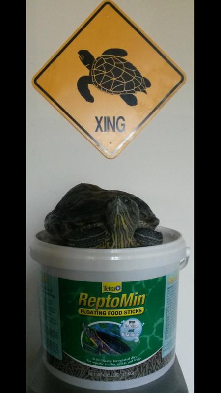 Tetra ReptoMin Floating Sticks 3.7oz Aquatic Turtle Newt Frog Food NEW