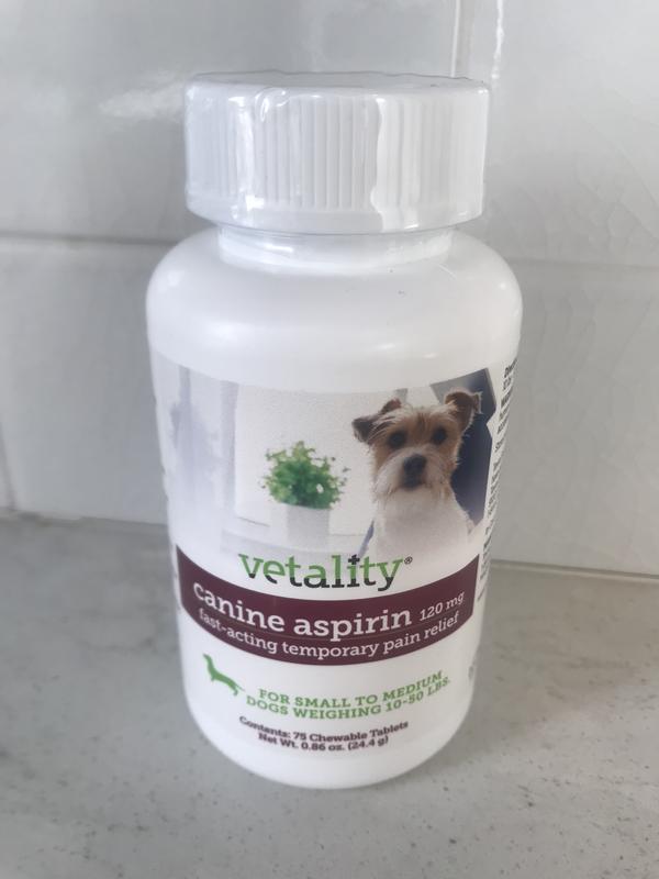 Temporary pain outlet relief for dogs