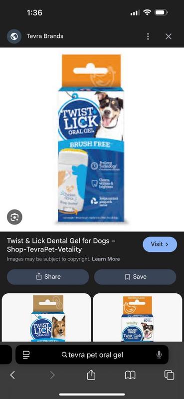 glutathione gel for dogs Anicura Dog Gel Ointment to soothe Itchy & Irritated Skin – Anicura USA
