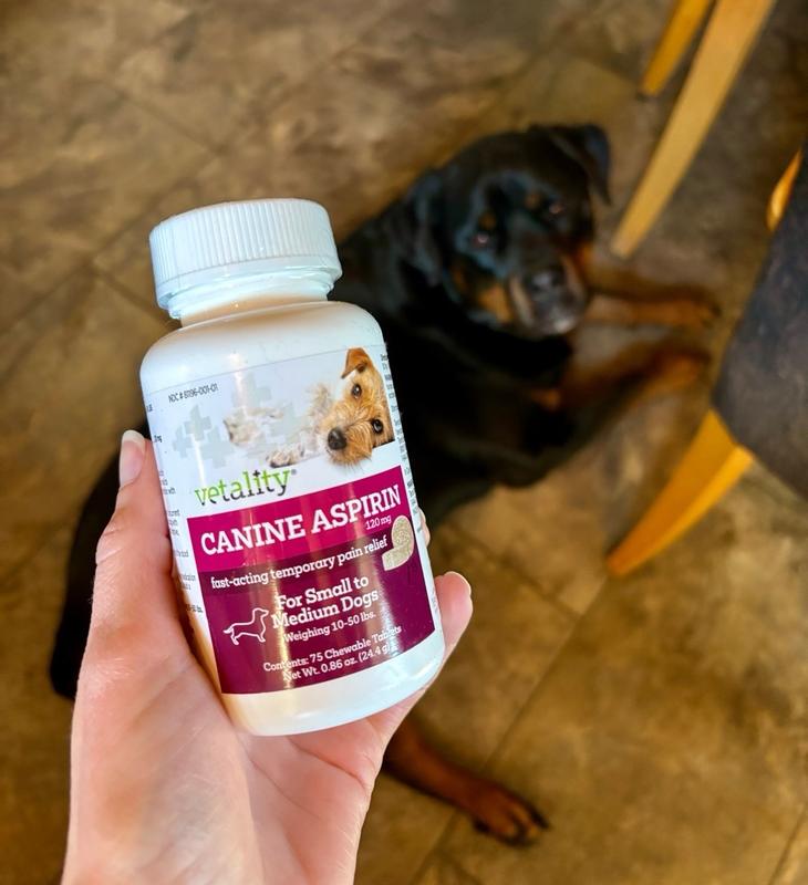 Pain Relief What Can I Give My Dog For Pain Vetality Canine