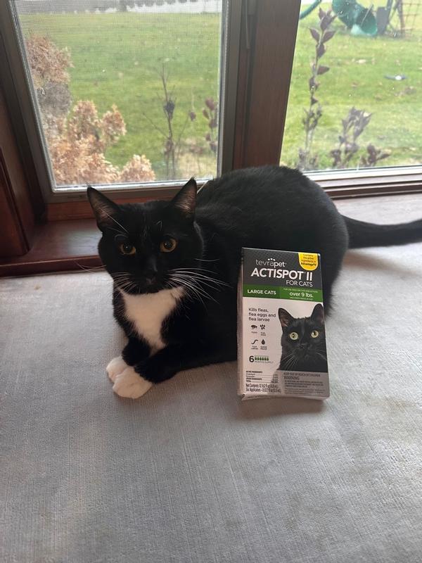Vetality Advotect II for Large Cats