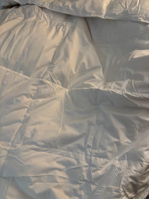 Photo from giannar5_3707