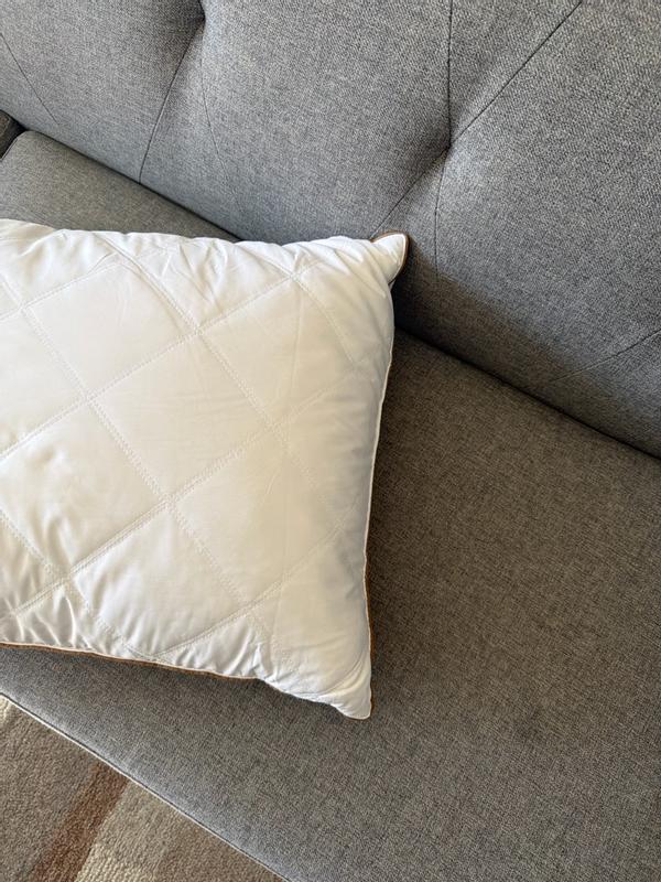 Photo from shreyak19_7381