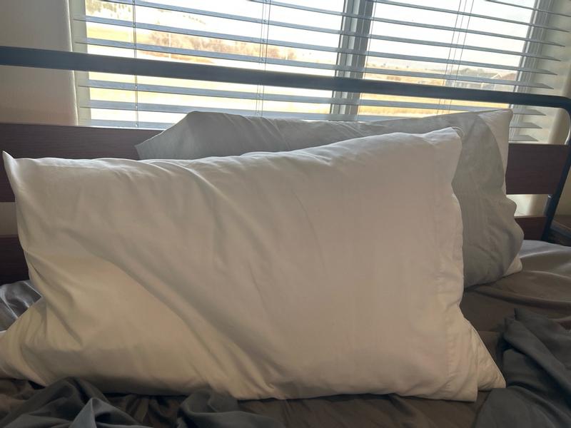 Photo from alexisrigby14_5378