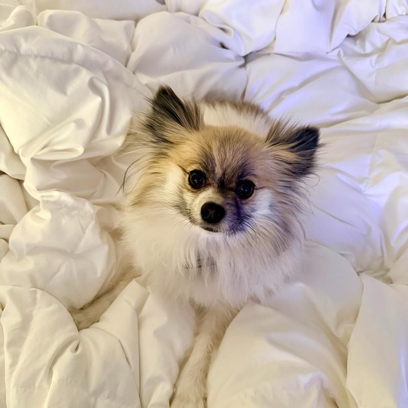 Customer carousel item 3.