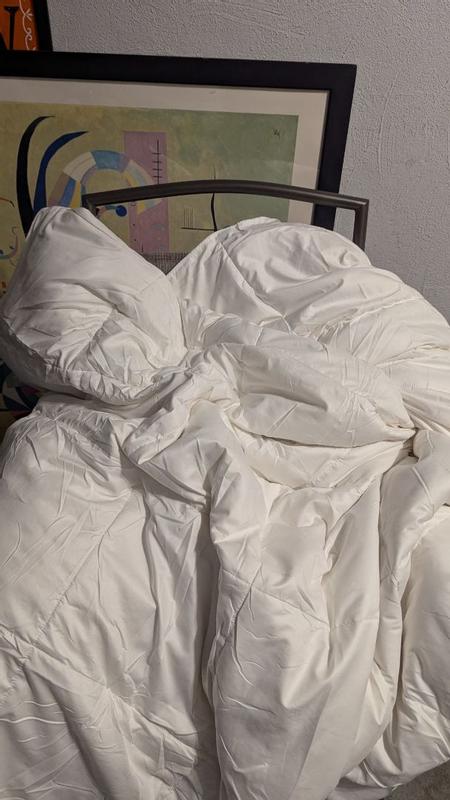 Photo from gigimaria3_6883