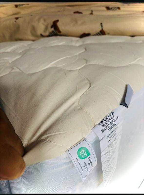 Photo from monica92911_7488