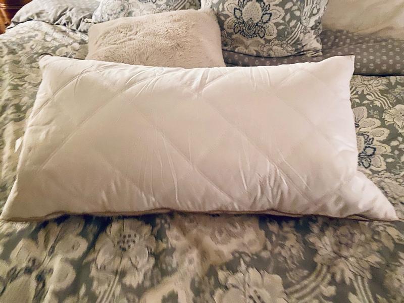 Photo from jacquelinev15_504