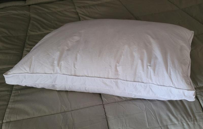 Photo from bina19_1662