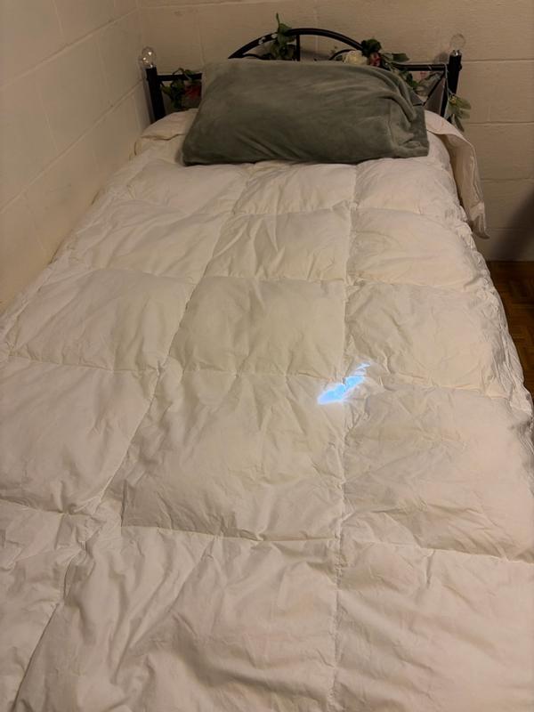 Customer carousel item 4.