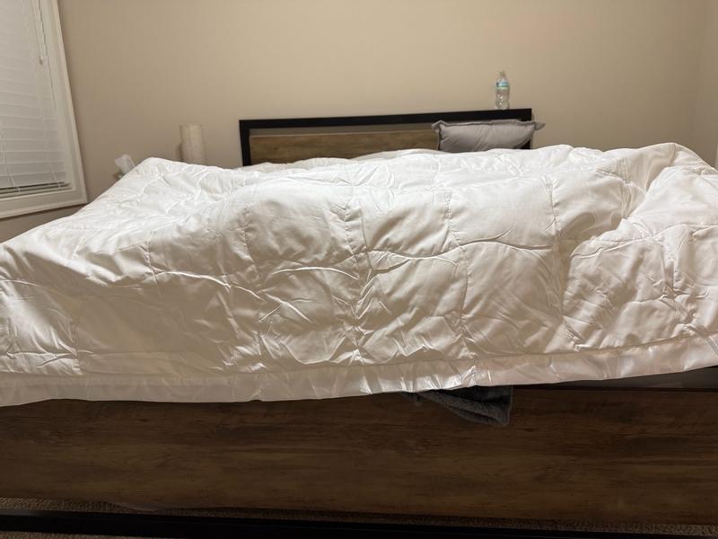 Photo from lucien8_7939