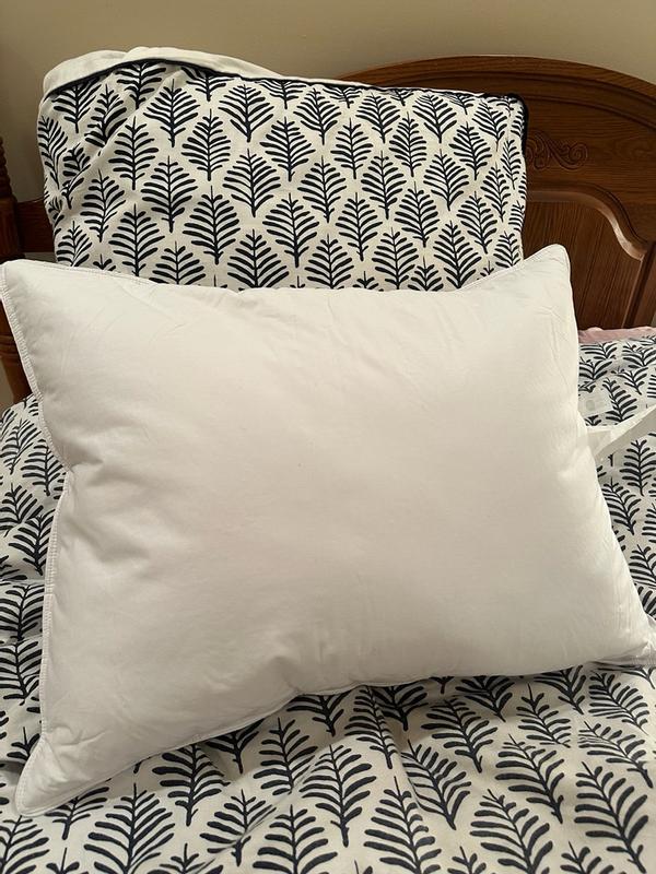 Photo from brendab150_3239