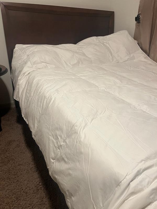 Customer carousel item 3.