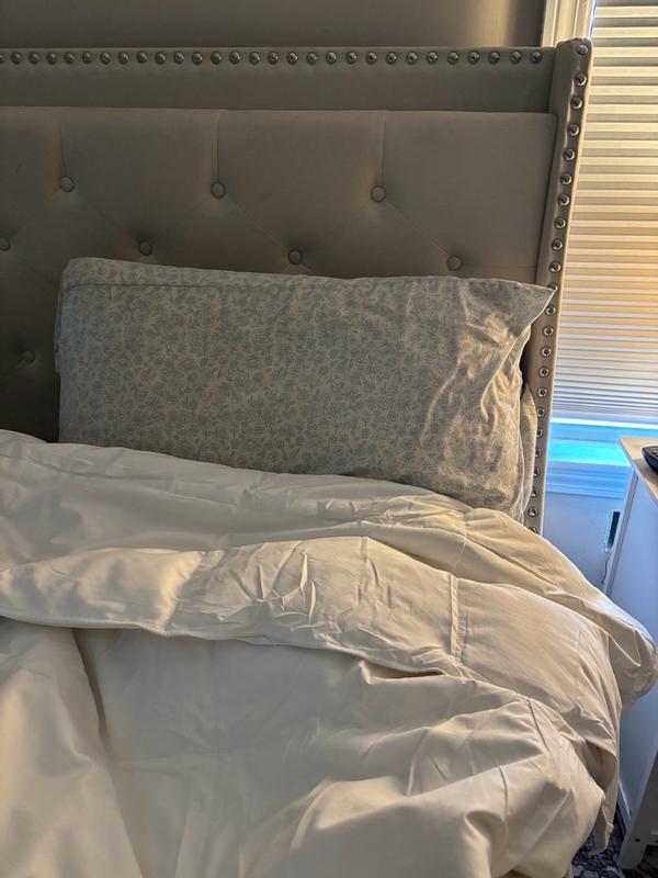 Photo from giannar5_3707