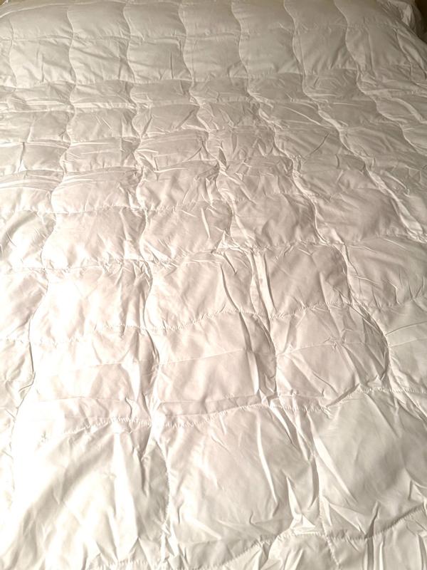 Photo from rebeccap71fd_2145