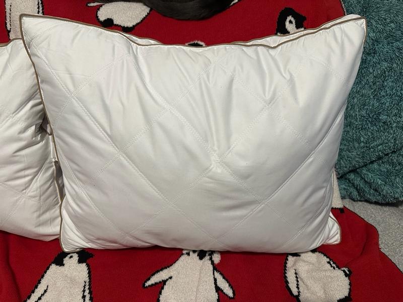 Customer carousel item 10.