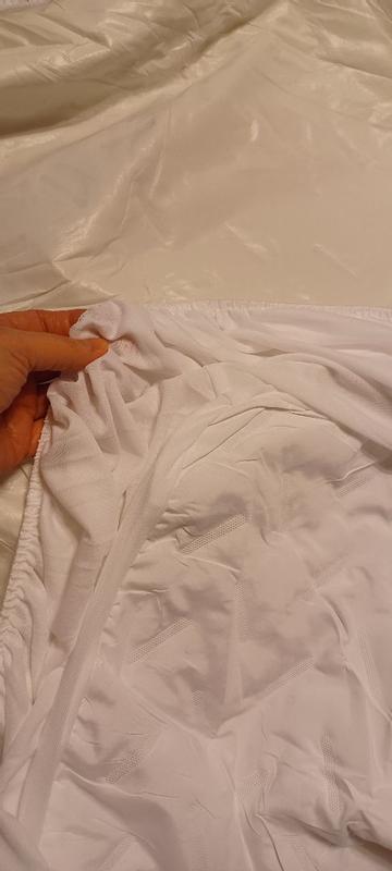 Customer carousel item 2.