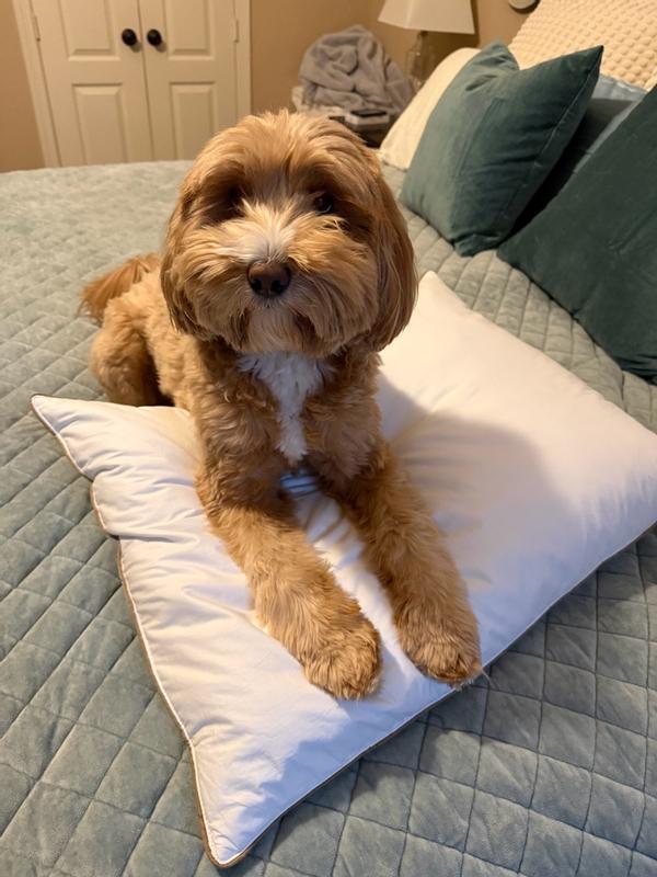 Customer carousel item 4.