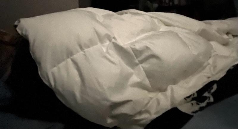 Customer carousel item 2.