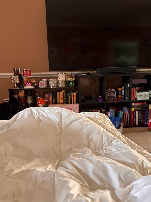 Photo from katiliz_7490