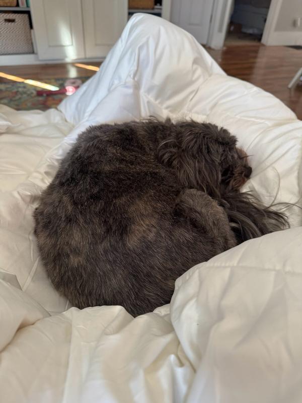 Customer carousel item 3.