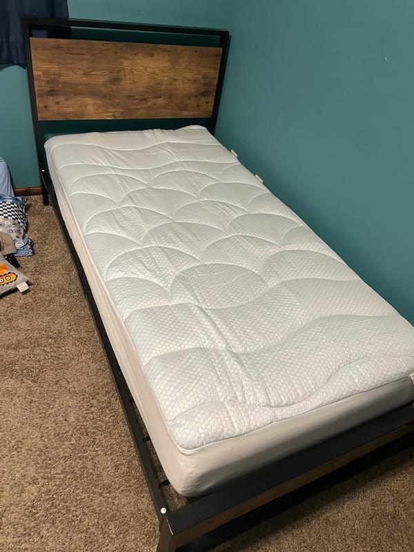 Customer carousel item 2.