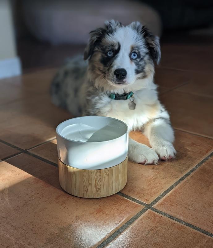 Teamson Pets Billie Small Elevated Wood Pet Feeder with Ceramic Bowls, Brown