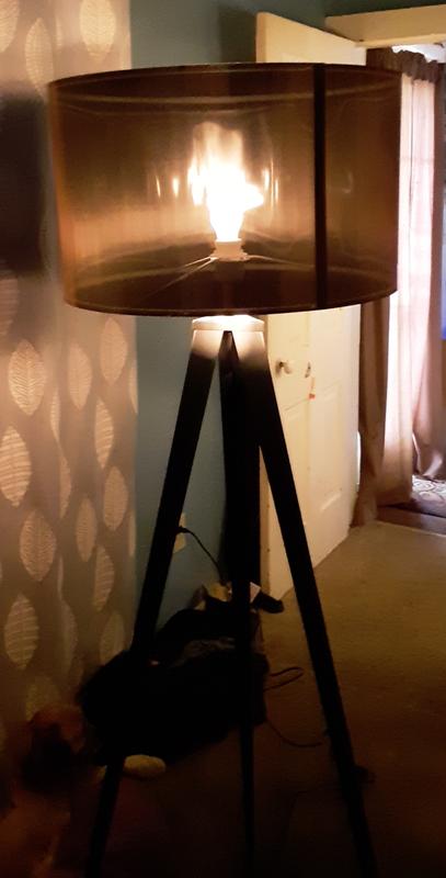 Versanora cara deals tripod floor lamp