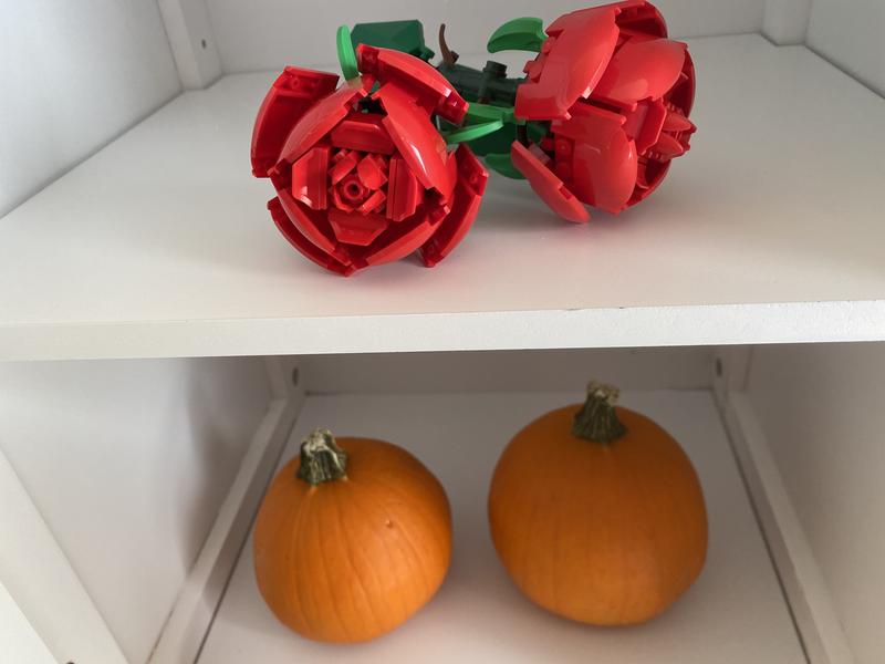 Simple & Crisp inside design that doesn’t show rough edges or a lot of bare hardware