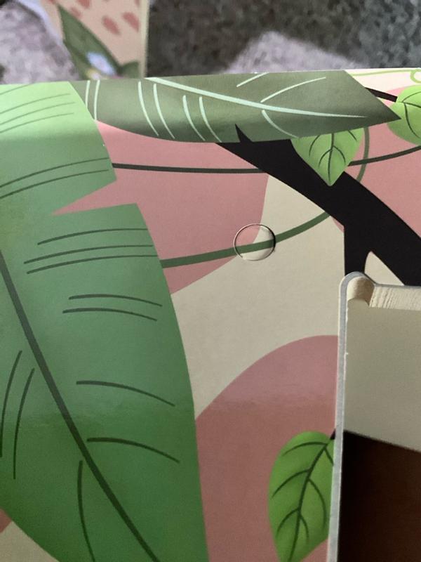 Review Thumbnail Image 2 347017507