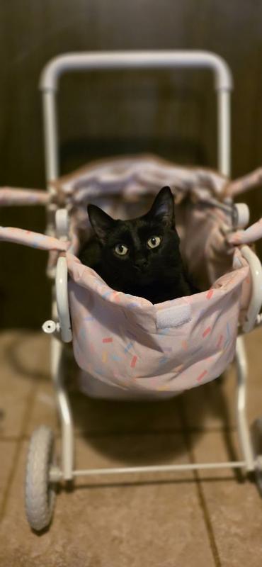 Review Thumbnail Image 0 359279703