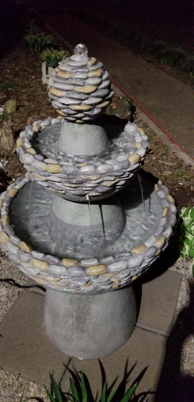 Beautiful addition to my garden