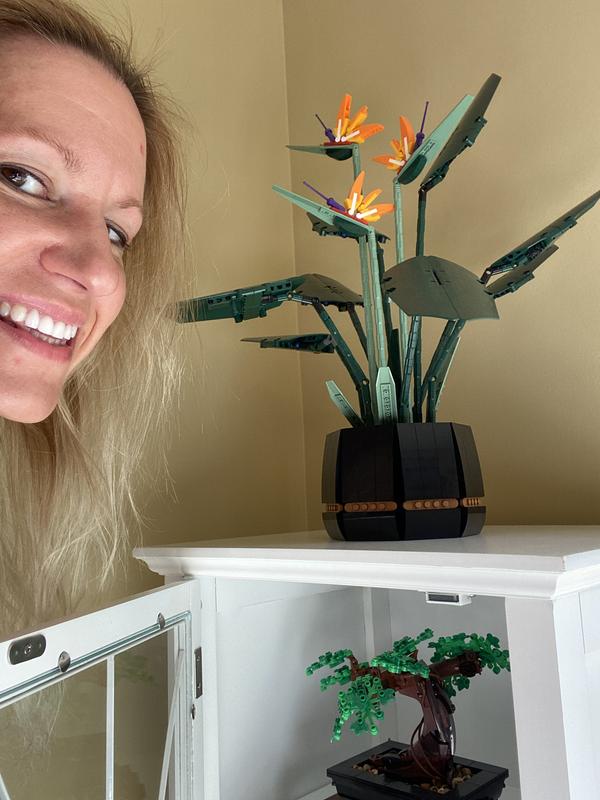 Much more stylish than basic curio for showing off our Legos