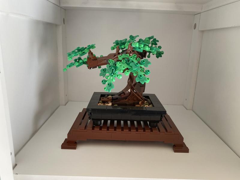 Shelves actually hold a ton more than you would think