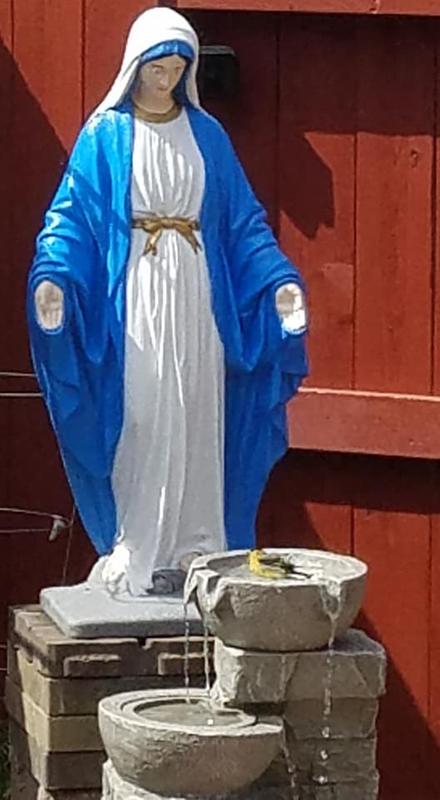 Birds taking baths at the water fountain everyday.