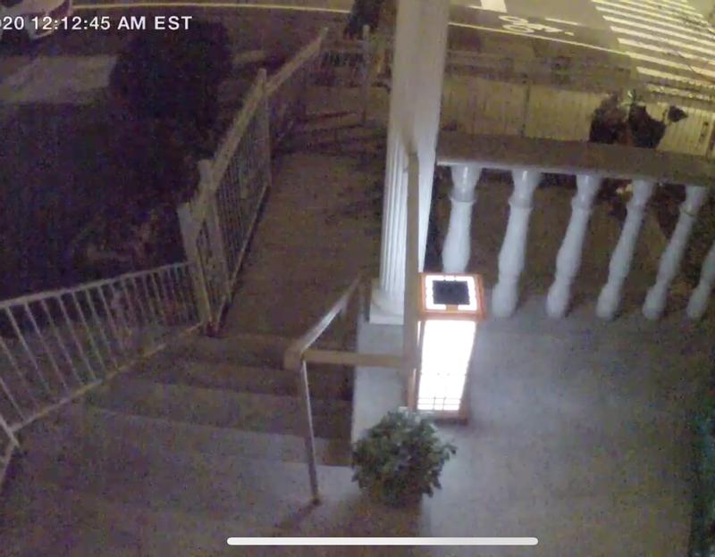 My Review for Solar Zen Lantern - Amber or White Light (Height 24.5")