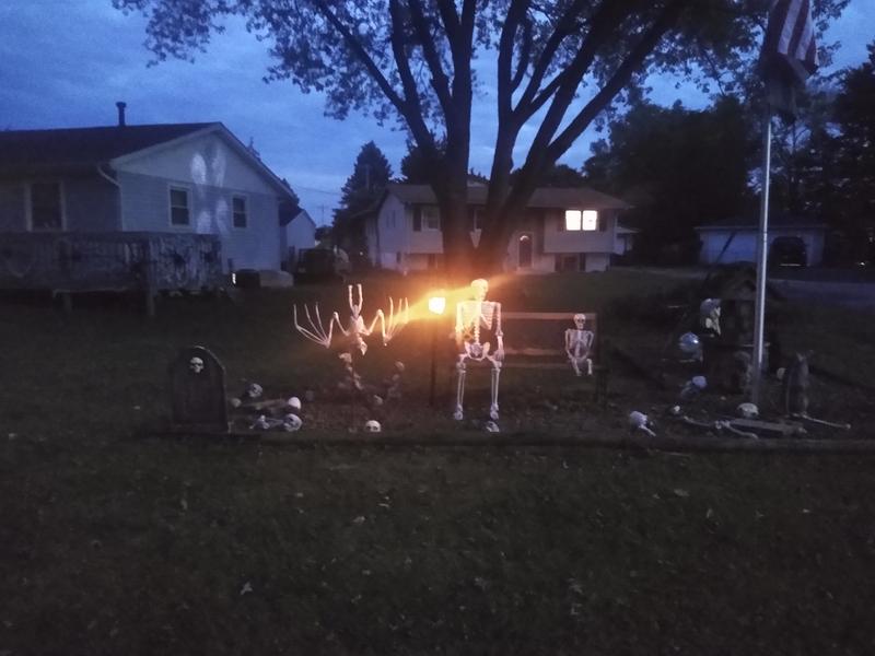 Shine bright with the Skelly's!