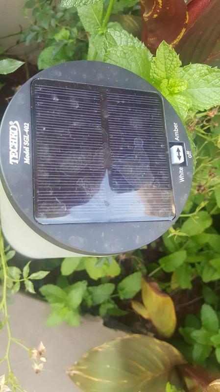 Switch/Solar Panel