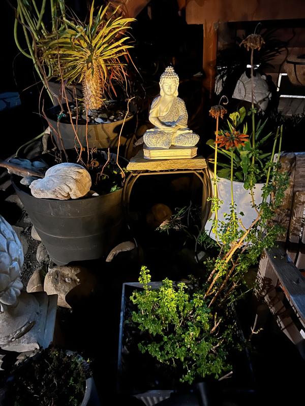 Garden Buddha