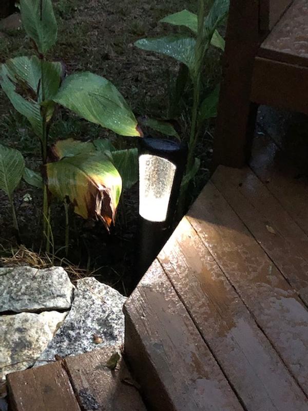 White Light at Night