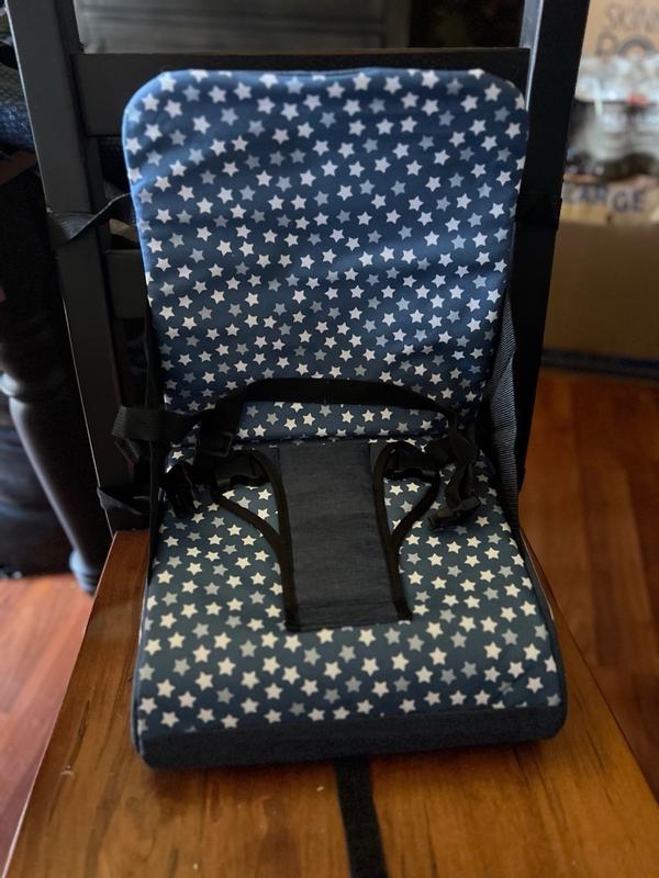 Polar gear best sale travel booster seat