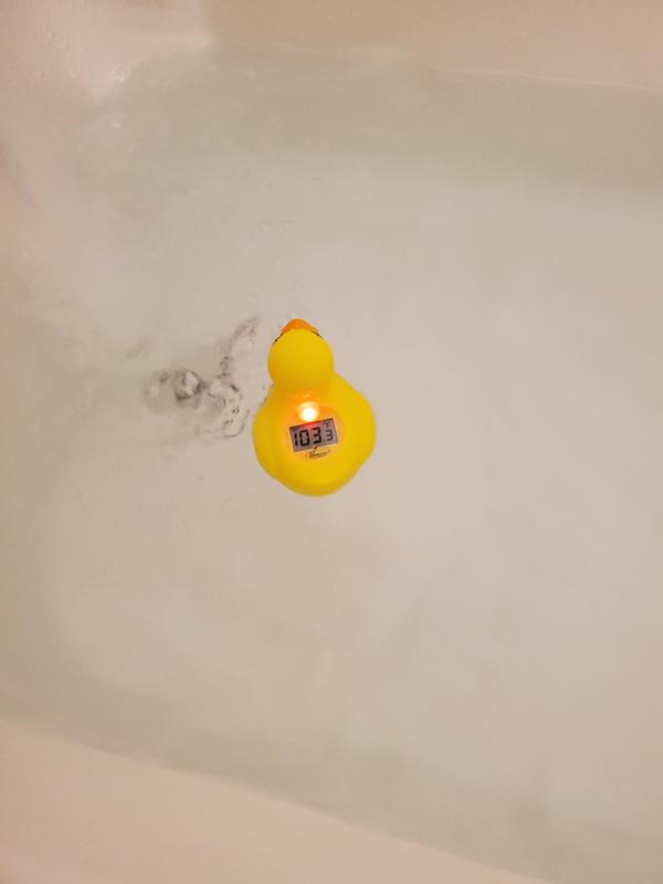 dreambaby duck thermometer