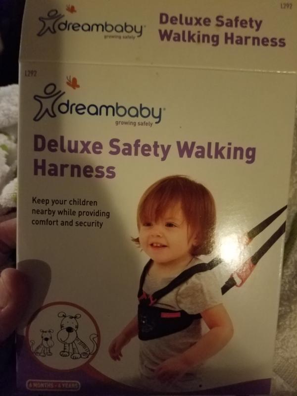 dreambaby safety harness