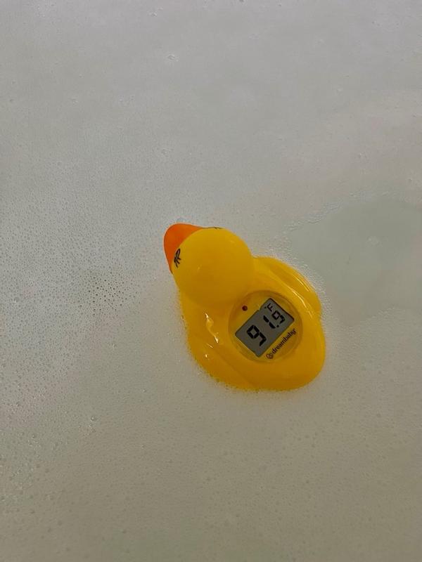 Dd&h store duck thermometer