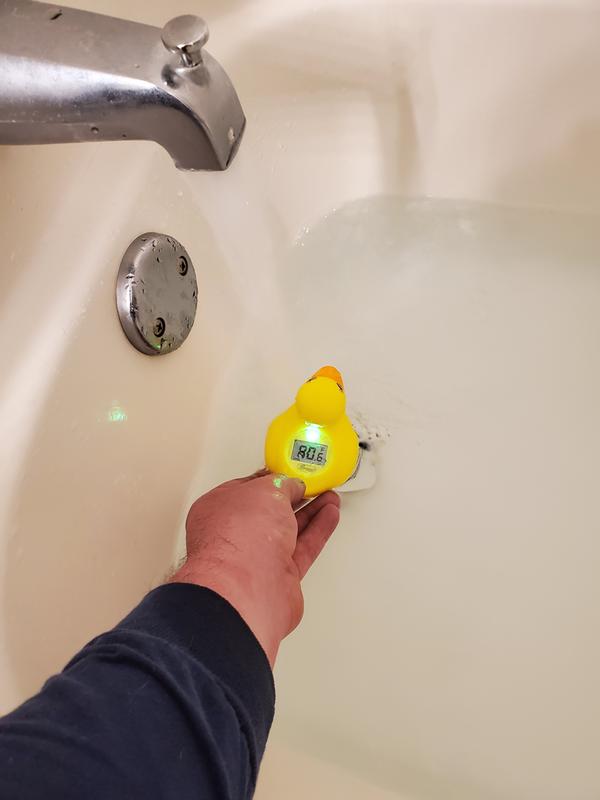 dd&h duck thermometer