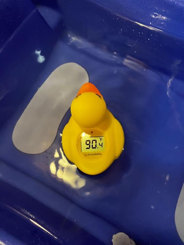 Dd&h store duck thermometer