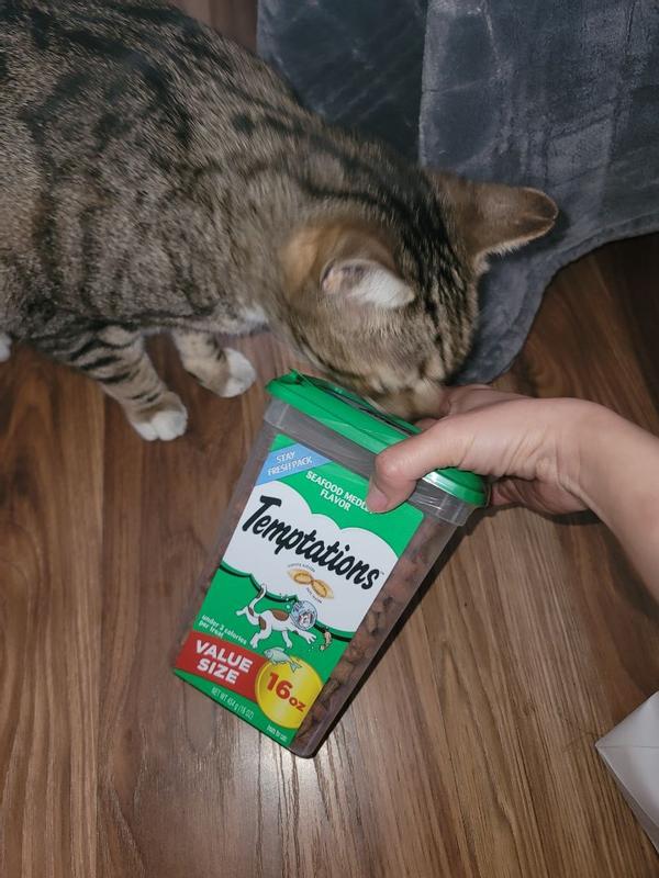 Temptations Seafood Medley Flavor Cat Treats Petsense