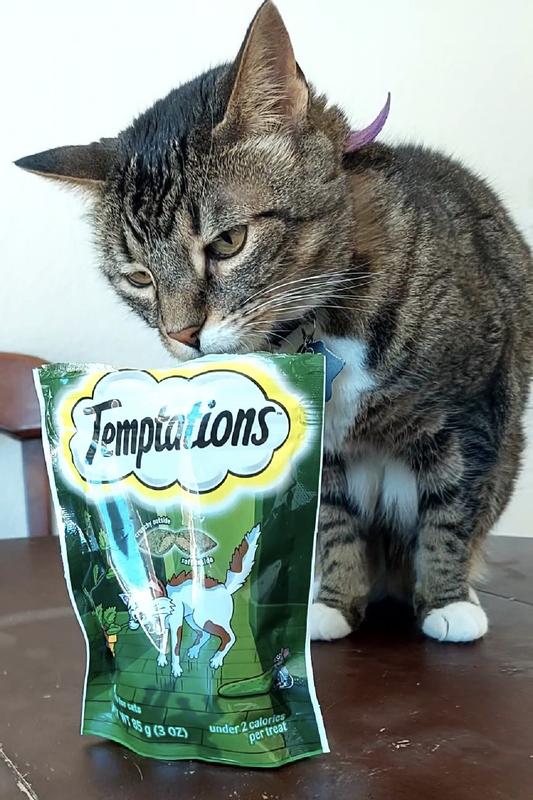 Temptations Creepy Catnip Cat Treats, Crunchy & Soft 3 oz