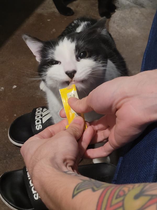 Photo - commentaire&nbsp;5.